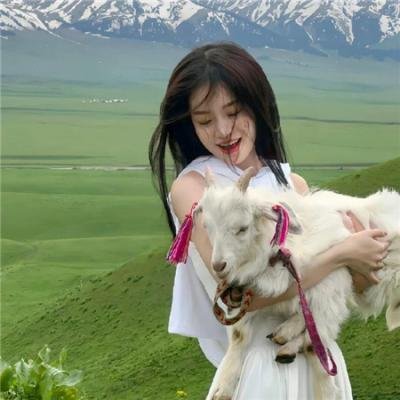 恐怖旅舍